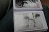 Filename=8_iun_2007 (73).jpg
Filesize=396KiB
Dimensions=2803x1869
Date added=Jun 19, 2007 8_iun_2007 (73).jpg
